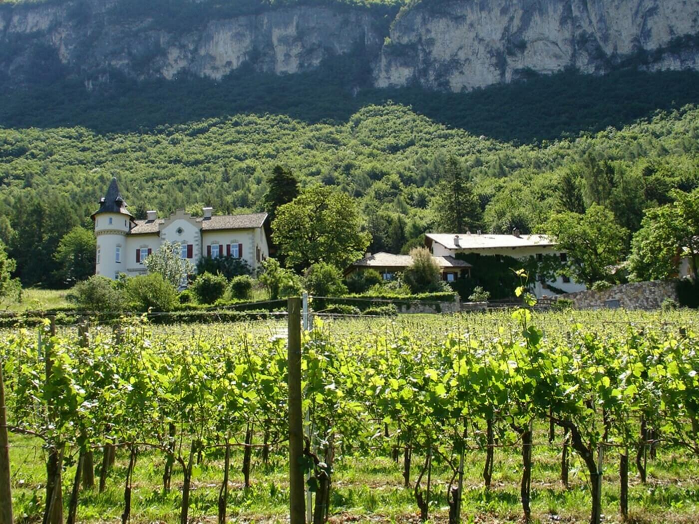 Weingut Gottardi Mazzon Neumarkt Das Malerische Dorf Im S dtiroler 